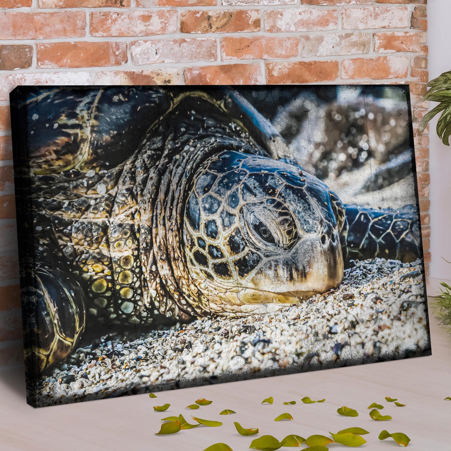 Sea Turtle On The Beach Wall Art Style 2 - Image by Tailored Canvases