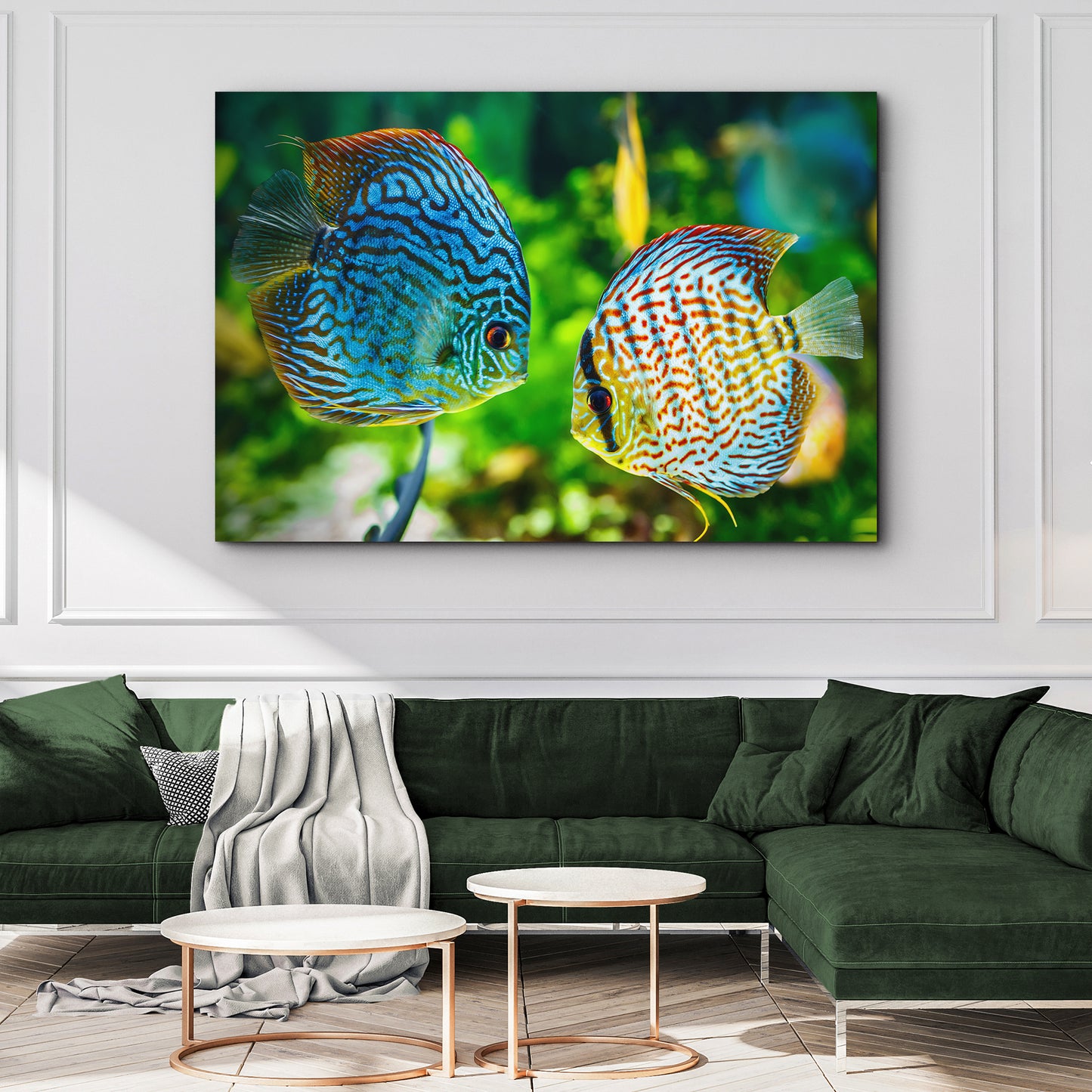 Tropical Fish Wall Art - Image by Tailored Canvases