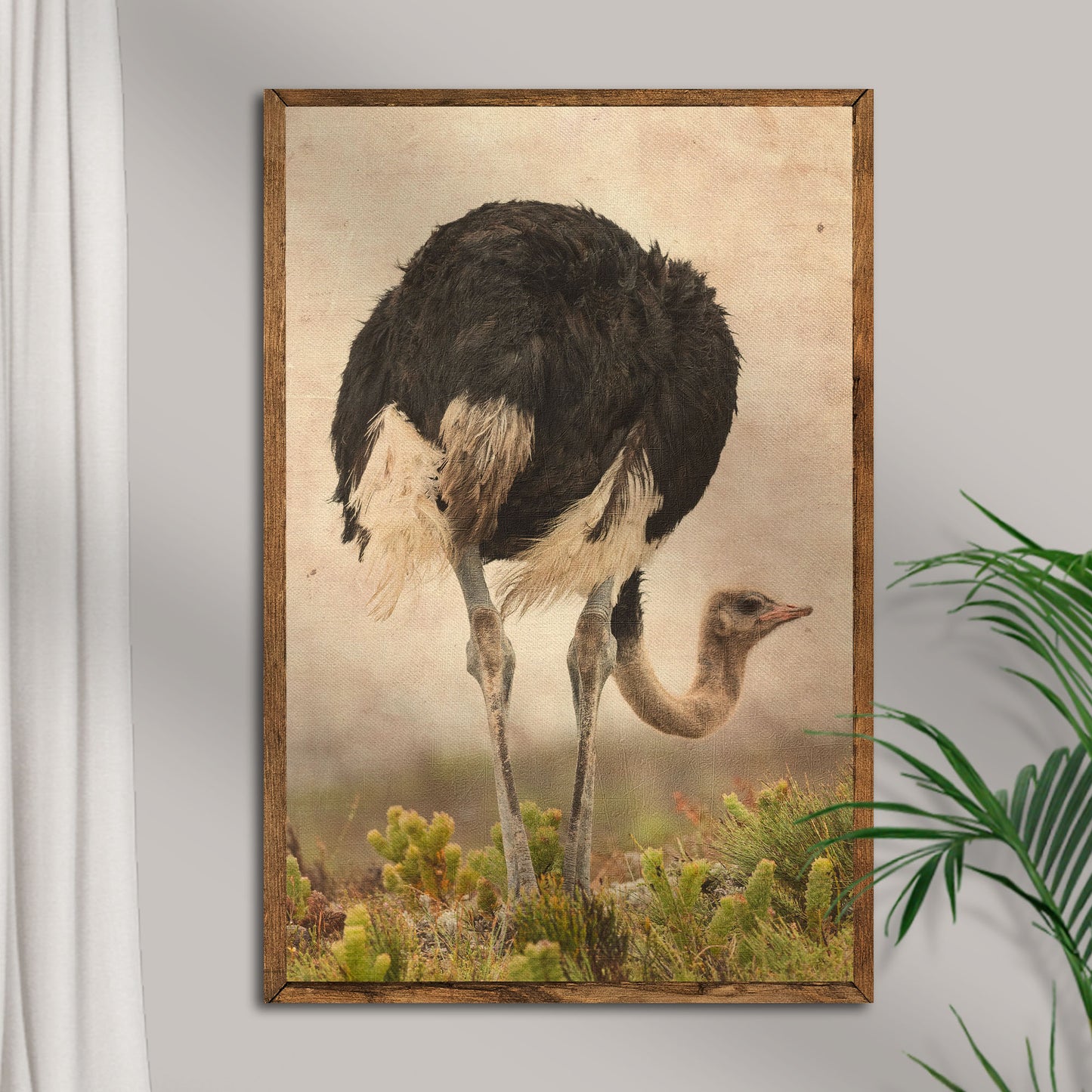 Vintage Ostrich Wall Art II Style 1 - Image by Tailored Canvases