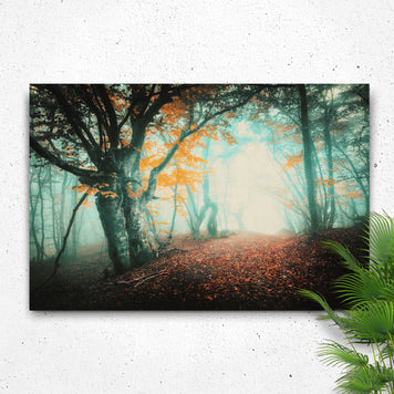 Foggy Forest Canvas Wall Art