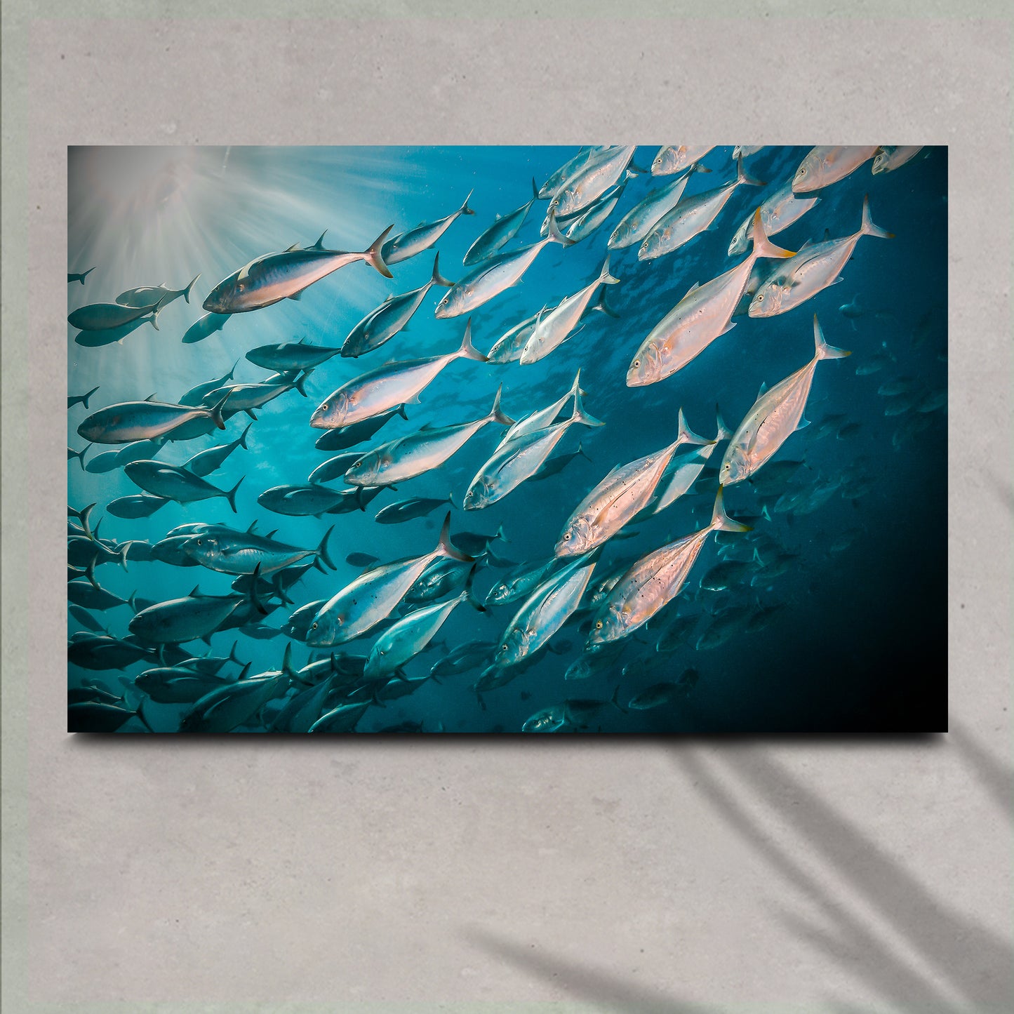 Vibrant Ocean Fish Wall Art II Style 1 - Image by Tailored Canvases