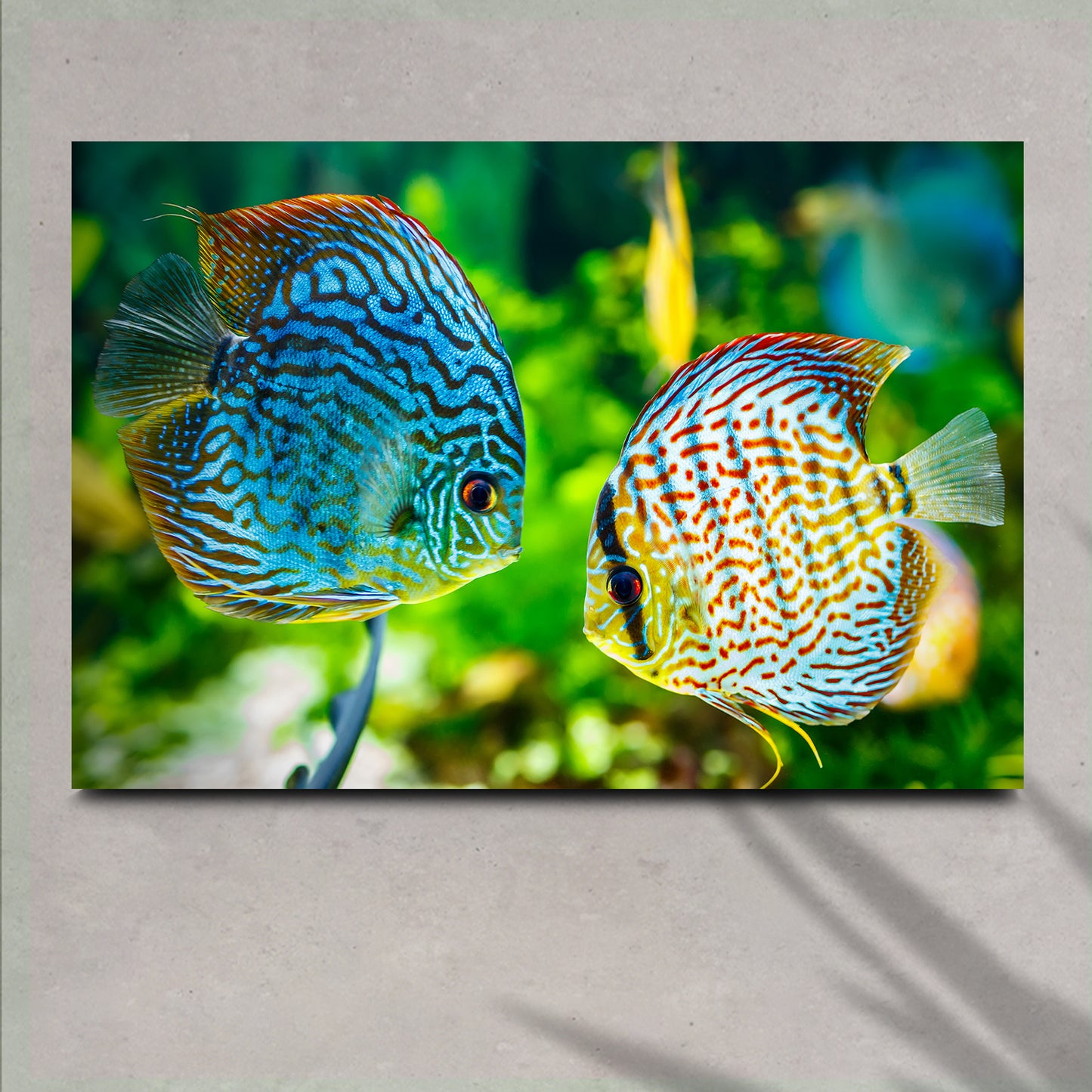 Tropical Fish Wall Art Style 1 - Image by Tailored Canvases