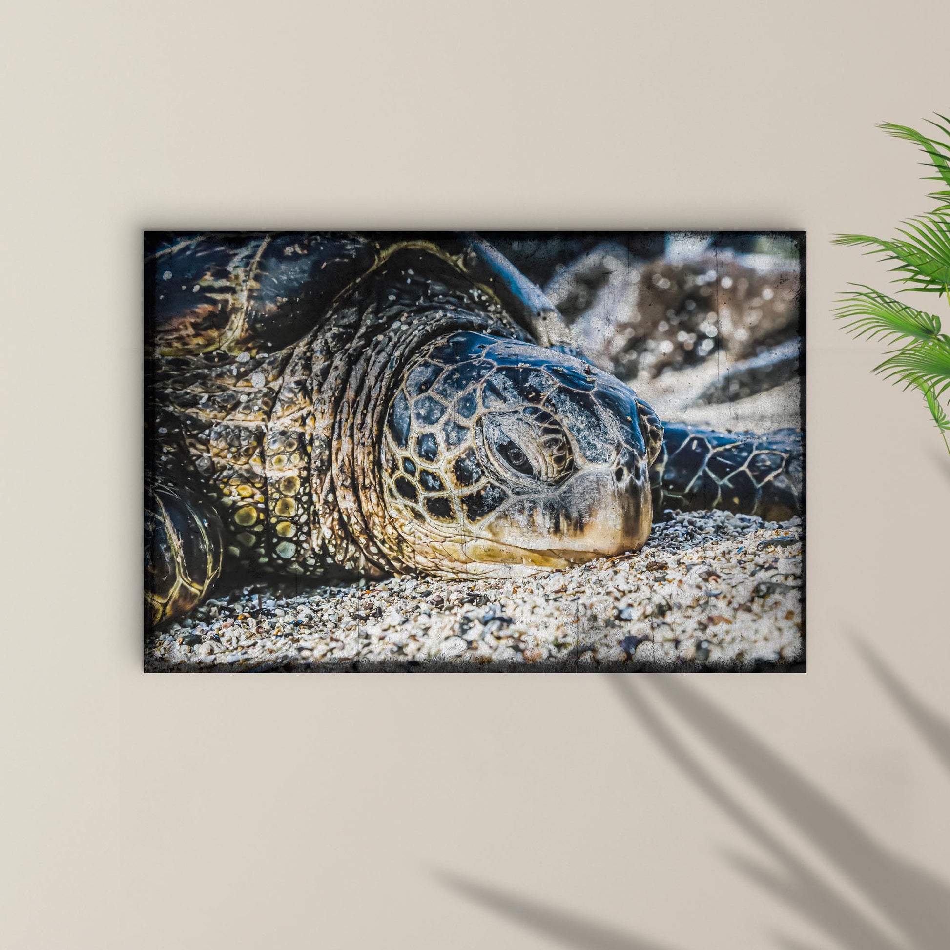Sea Turtle On The Beach Wall Art Style 1 - Image by Tailored Canvases