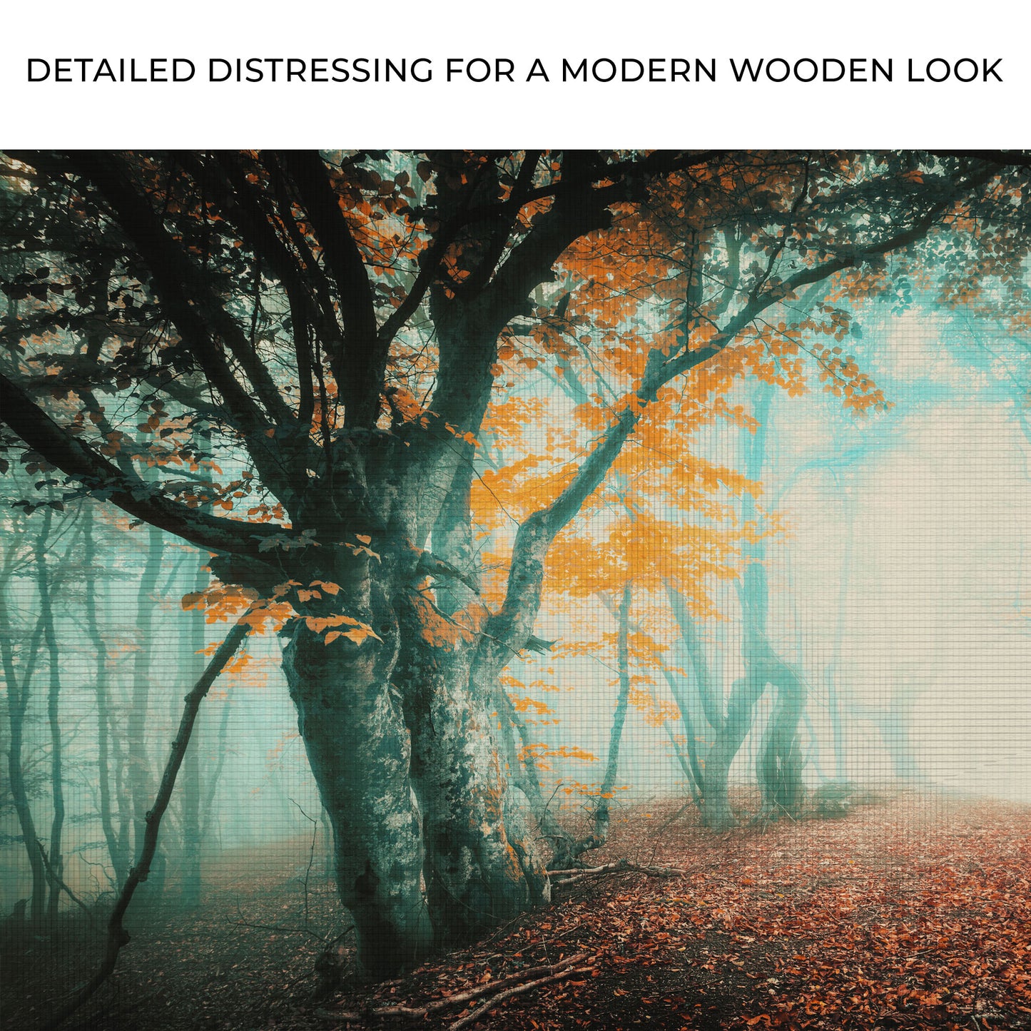 Foggy Forest Canvas Wall Art Zoom - Image by Tailored Canvases