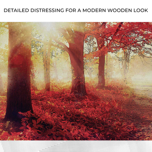 Red Maple Sunrise Path Canvas Wall Art Zoom - Image by Tailored Canvases