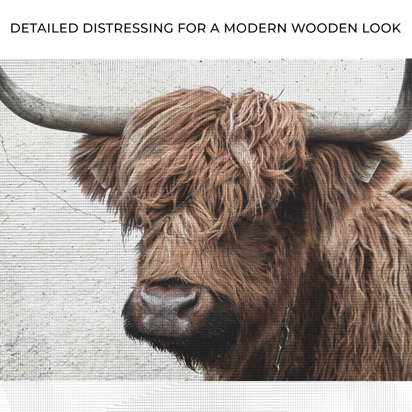Natural Rustic Highland Cow Canvas Wall Art Zoom - Image by Tailored Canvases