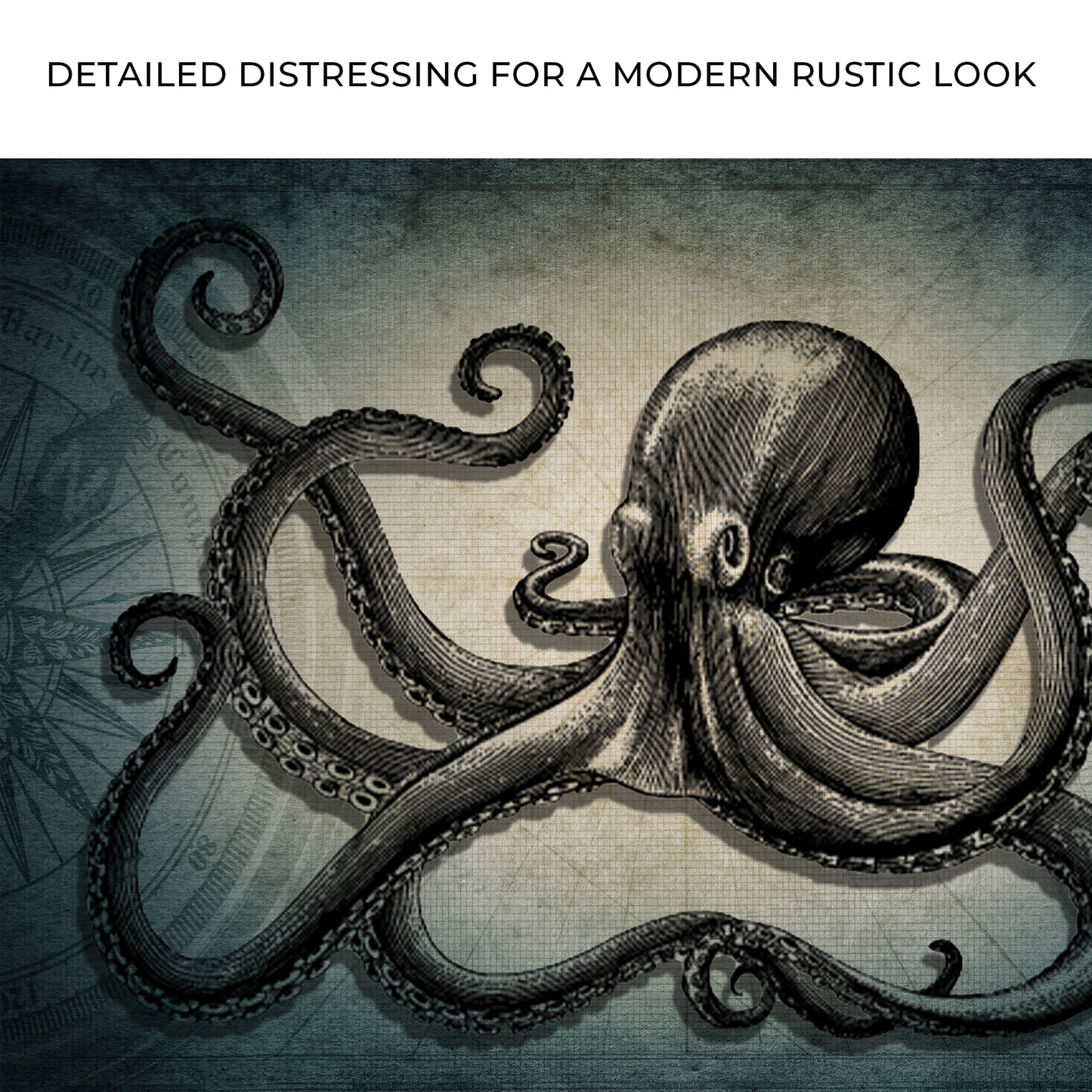 Octopus Coastal Wall Art Zoom - Image by Tailored Canvases
