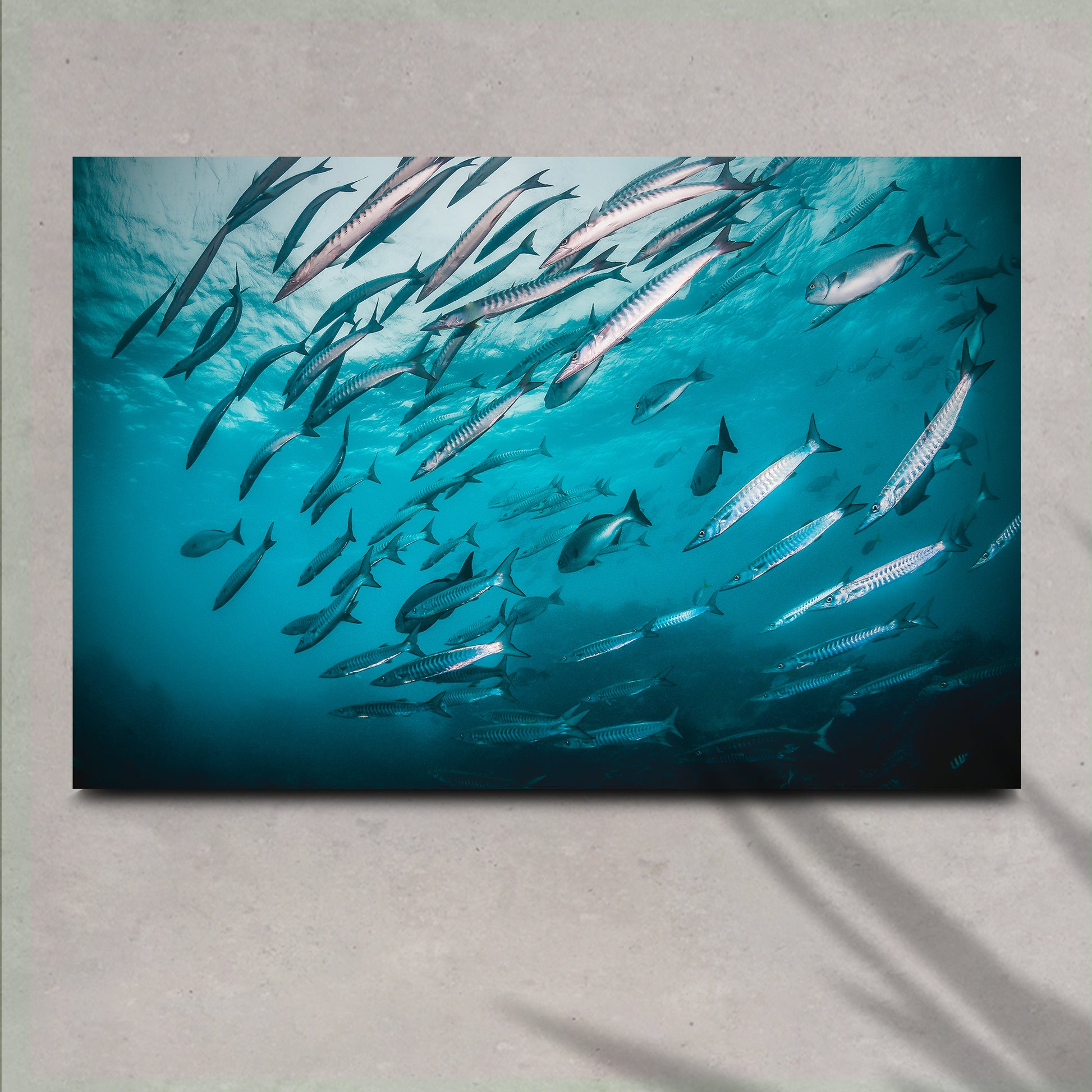 Vibrant Ocean Fish Wall Art Style 1 - Image by Tailored Canvases